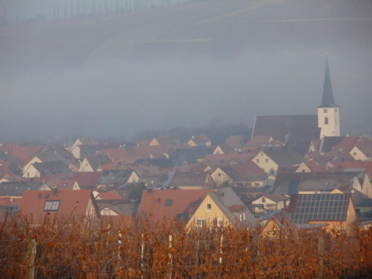 Gaestehof - Weinbau Saeger Nordheim am Main Bagian luar foto