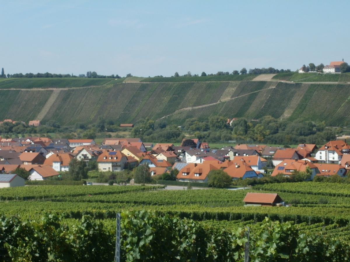 Gaestehof - Weinbau Saeger Nordheim am Main Bagian luar foto